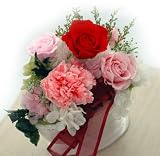 �v���U�[�u�h�t�����[�A�����W�����g�@�|��
