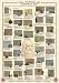 Kitchen & Housewares : Art Poster Print - Genius of Leonardo Da Vinci - Artist: Anonymous - Poster Size: 27 X 39 inches