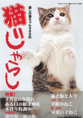 Cover image : 猫じゃらし―癒しの猫ちゃん500匹 (フロムムック 46)