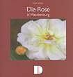 Die Rose in Mecklenburg