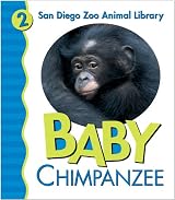 Baby Chimpanzee