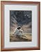 IN THE WILDERNESS by Ron DiCianni Double Matted & Framed Spiritual Art Jesus