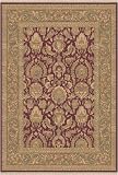 Dynamic Rugs 5004-330+-(Fringed Run 2'2