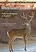White-Tailed Deer Habitat: Ecology and Management on Rangelands (Perspectives on South Texas, sponsored by Texas A&M University-Kingsville)