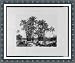 Historic Print (L): Karnak - groupe de dattiers vu du point A / F�lix Teynard. Image