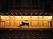 Garritan Steinway - Professional