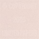 Passport Smooth Rose Quartz 24# #10 Envelope 250/pack