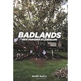 Badlands: New Horizons in Landscape ~ Denise Markonish