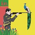 Fun – Aim and Ignite