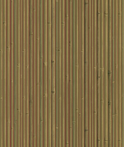 Brewster FD49456 National Geographic Home Bamboo Wallpaper, 20.5-Inch by 396-Inch, Red