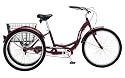 Schwinn Meridian Adult 26-Inch 3-Wheel Bike (Black Cherry)