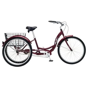 Schwinn Meridian