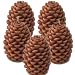 Pine Scent Pine Cone Candle Set of 5