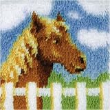 Pony Latch Hook