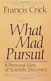 What Mad Pursuit