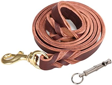 Dog Leather Leash,Geega Pet Heavy Duty Braided Dog Training Leash,Strong, Durable Dog Slip Lead with Dog training whistle (copper hook, 4-Feet x 3/4-Inch)