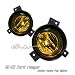 01-03 Ford Ranger Amber Lease Fog Light Kit