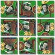 Irish Heritage Scramble Squares Puzzle