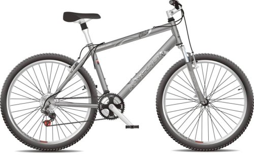Raleigh Glide 26/20" Gents