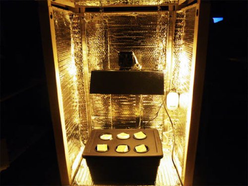 Hydroponic grow box complete system