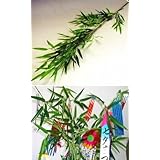 ���i�̏ڍ�