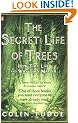 The Secret Life of Trees: How They Live and Why They Matter (Penguin Press Science)