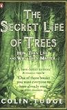 Image of Secret Life of Trees