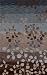 8'0" x 10'0" Dalyn Rug Company Studio SD1 - Mocha Rectangular