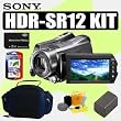 Sony HDR-SR12 10MP 120GB High Definition Hard Drive Handycam Camcorder + Accessory Outfit - Sony ASONHDRSR12K1