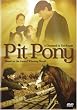 Pit Pony: A Diamond in the Rough: Based on the Award Winning Novel [Import]