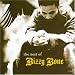 Search : The Best of Bizzy Bone