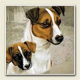 AbsorbaStone Coaster set~ Jack Russell ~4 Tile Drink Coasters ~ code 774C