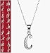 Avon Sterling Silver Diamond Accent Initial Necklace in Velvet Gift Box D