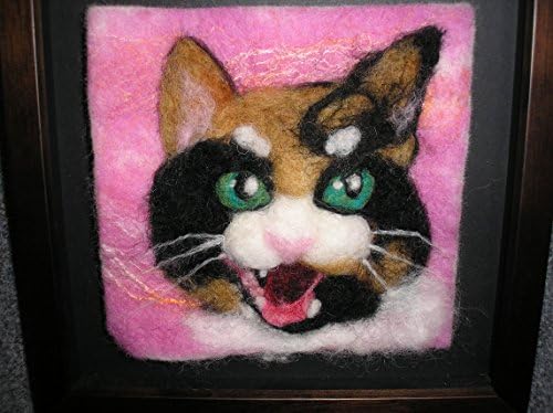 Calico cat