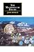 The Meanings of Death (Canto original series)