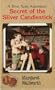 Secret of the Silver Candlestick (Time Twist Adventure)
