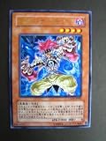 マッド・デーモン CROSSROADS OF CHAOS クロスローズ・オブ・カオス　(第6期　第2弾)レア