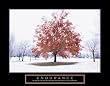 Endurance - Fall Tree, Motivational Poster