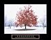 Endurance - Fall Tree, Motivational Poster