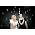 Thumbnail image of Raveonettes
