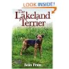 Lakeland Terrier