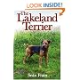 Lakeland Terrier