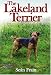 Lakeland Terrier