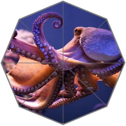 POOKOO! Best Custom Cute Animal Octopus Compact 43.5 Inch Foldable Umbrella, Women Umbrella,Men Umbrella,Travel Umbrella,Children Umbrella!Good gift!