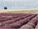Lavendar of Provence Boxed Notecards