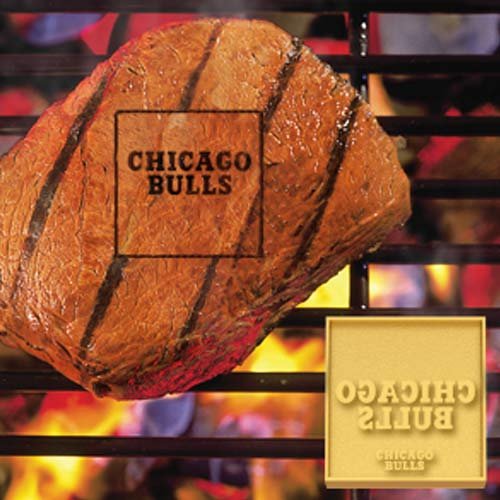 Fan Mats 10155 NBA - Chicago Bulls Fan Brand Barbecue Logo Branding Iron