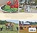 Amish Cooks Across America: Recipes and Traditions from Maine to Montana