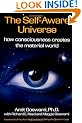 Self-Aware Universe: How Consciousness Creates the Material World