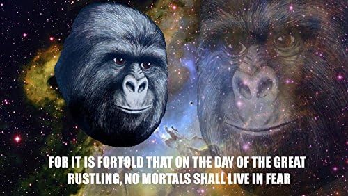 Canvas Art Print Poster-humor, Memes 16x24 inches unframed