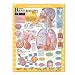 Your Respiratory System Blueprint Chart (Blueprint for Health)